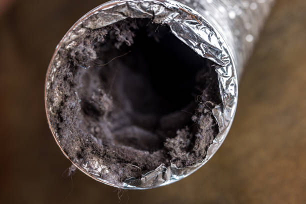 Best Affordable HVAC Duct Cleaning  in Waverly, TN