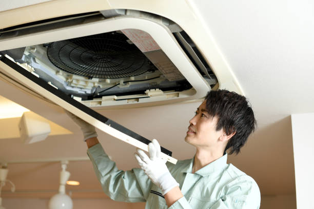Best Air Duct Cleaning Near Me  in Waverly, TN